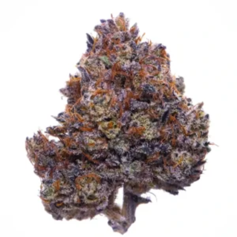 Buy Purple Haze Weed in Dubai